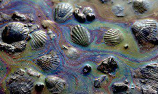 溢油應急科普知識——溢油危害