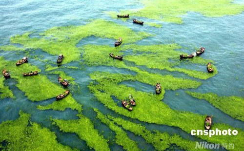 交通運輸部急調(diào)1.8萬米圍油欄支援青島防滸苔