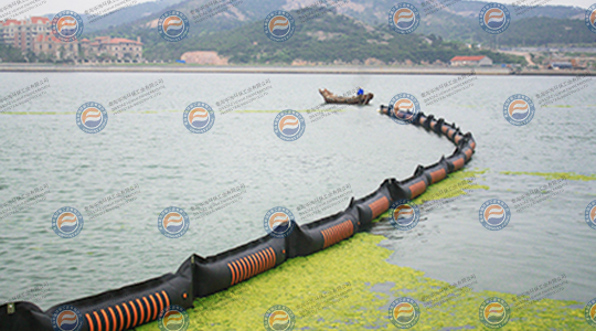 2008年7月，參加青島海域滸苔防治工作